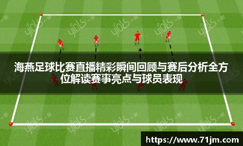 南宫NG28