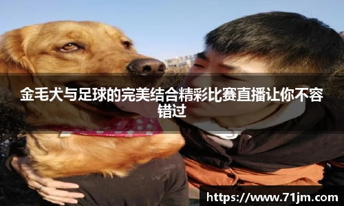 南宫28